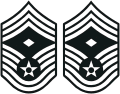 USAF Chief Master Sergeant E-9 (1st Sgt)
